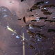 Illustration for article titled Your Space Battles Shaped The Stories In The New emEVE Online/em Comic Book
